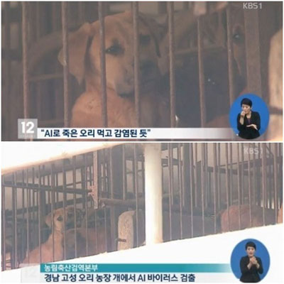 [사진=KBS1 뉴스화면 캡처]