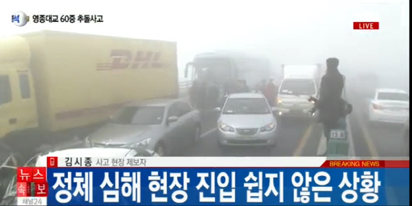 [사진=YTN 뉴스 화면 캡처]
