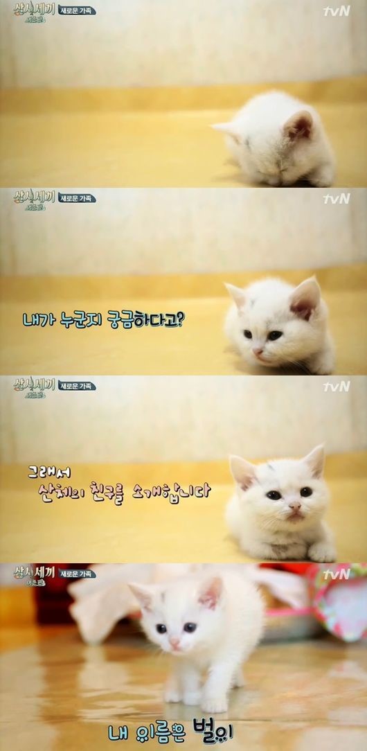 사진 = tvN 삼시세끼 방송화면 캡처