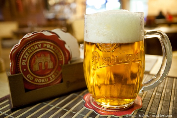 ‘황금빛 맥주의 본고장’ 체코…‘1인당 맥주 소비량’ 세계 1위