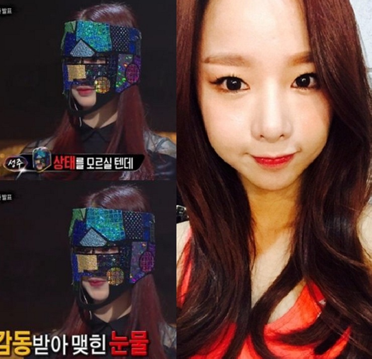 [사진=MBC '복면가왕' 방송화면 캡처/ EXID SNS]