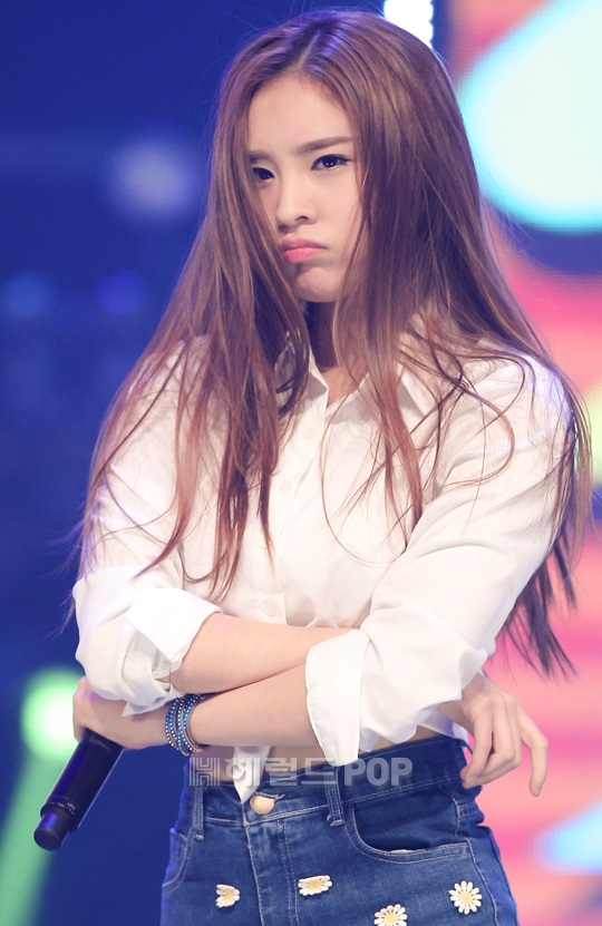 소나무 나현