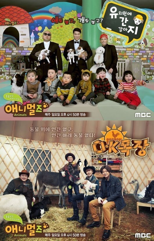 사진 = MBC 애니멀즈