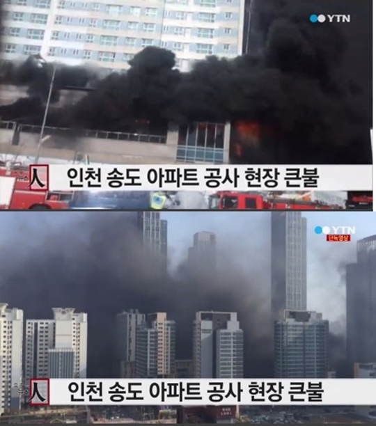 [사진=YTN 뉴스 화면 캡처]