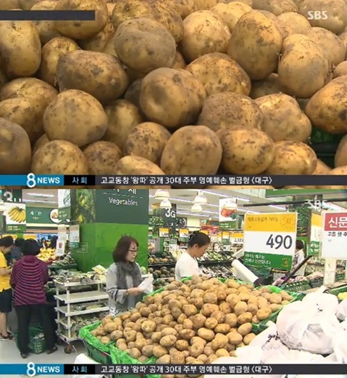 기면증 증상 기면증 증상