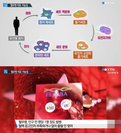 YTN 뉴스 캡처
