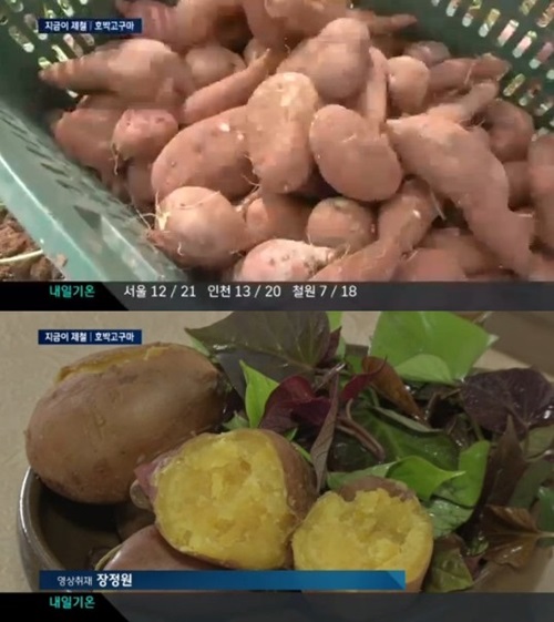 관절염에 좋은 운동 관절염에 좋은 운동