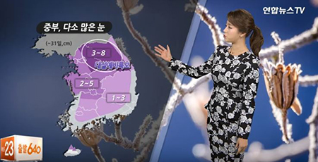 사진: 전국 눈 비