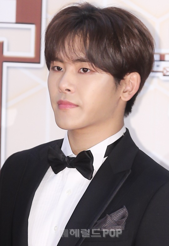 인피니트 호야