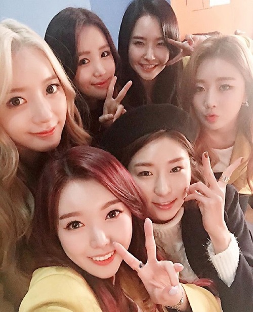 댤샤벳 SNS