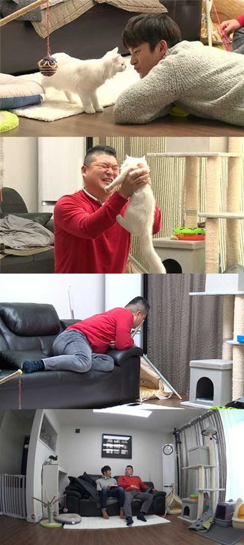 JTBC