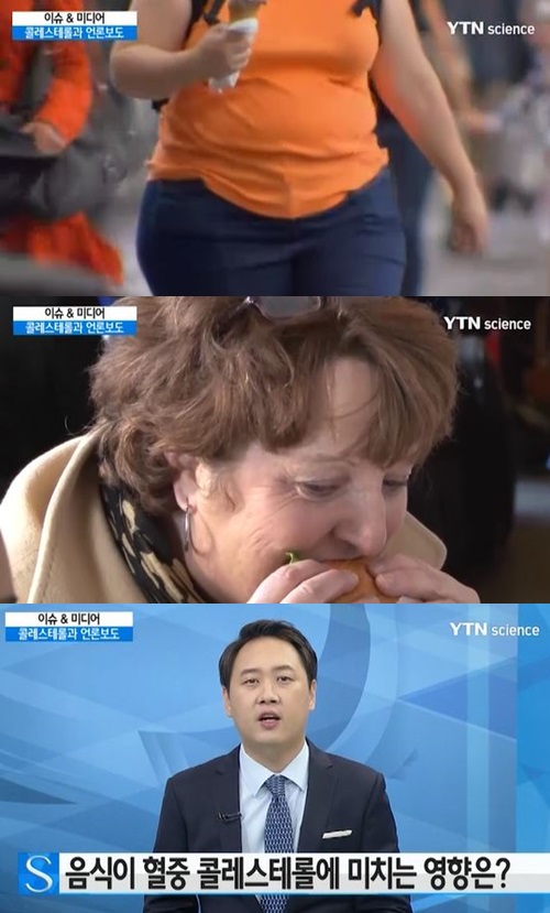 콜레스테롤의 기능 콜레스테롤의 기능