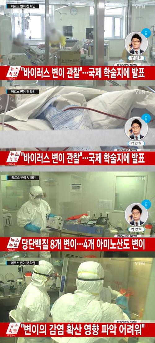 '메르스 바이러스 한국에서 변이' / YTN뉴스 캡처