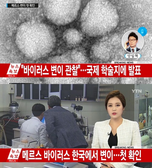 사진: YTN 뉴스
