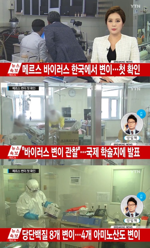 사진:메르스한국에서변이