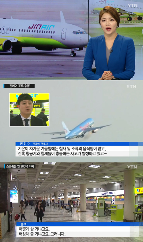 사진 : 버드 스트라이크 / YTN 뉴스