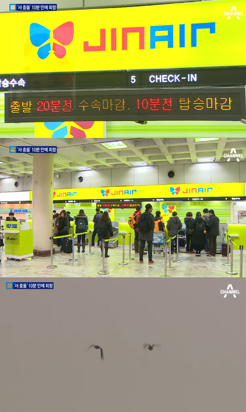 사진 : 버드 스트라이크 / 채널A뉴스