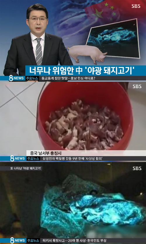 사진 : 야광 돼지고기 / SBS 뉴스