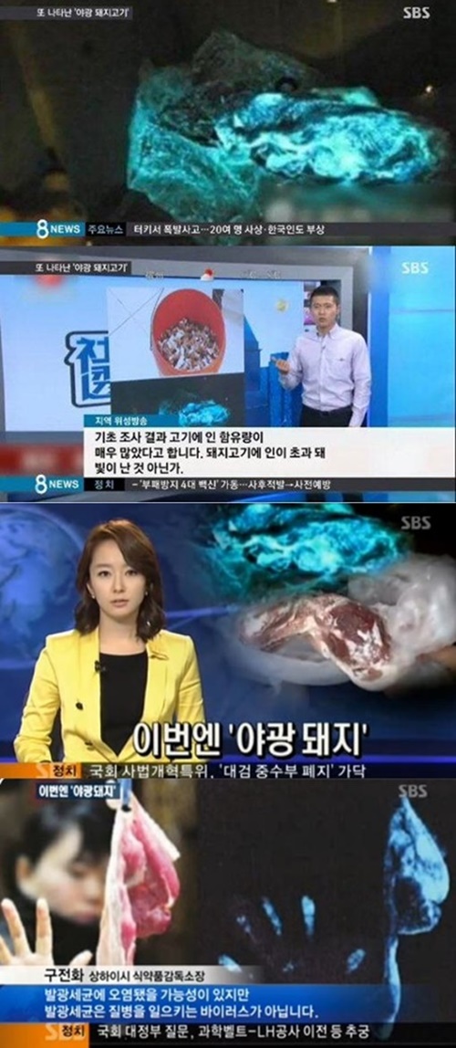 사진: 야광 돼지고기 /출처:sbs