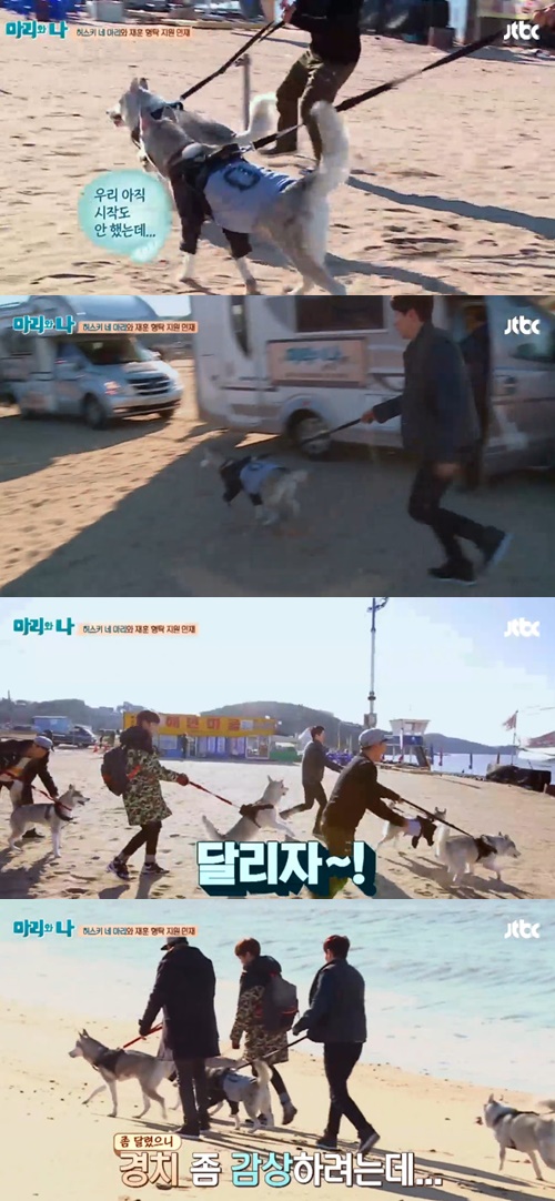 사진:마리와나허스키