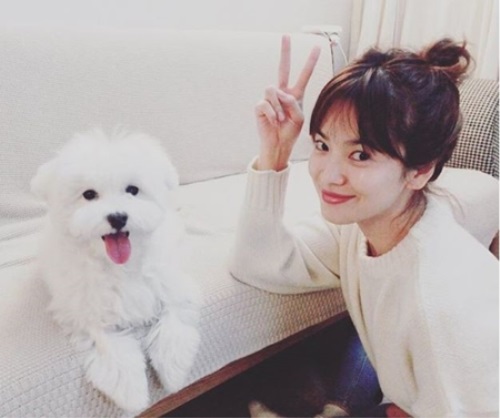송혜교SNS