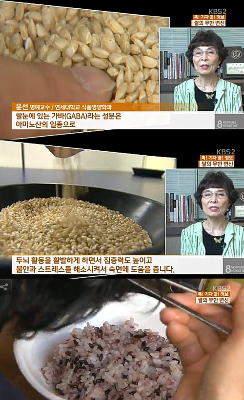 기억 학습력 저하 기억 학습력 저하