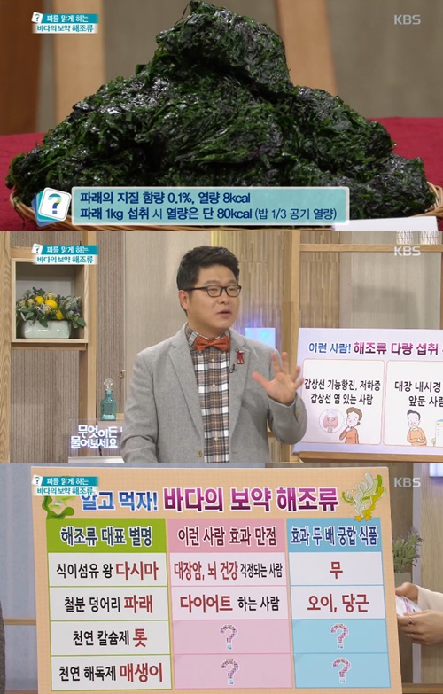 사진:파래효능