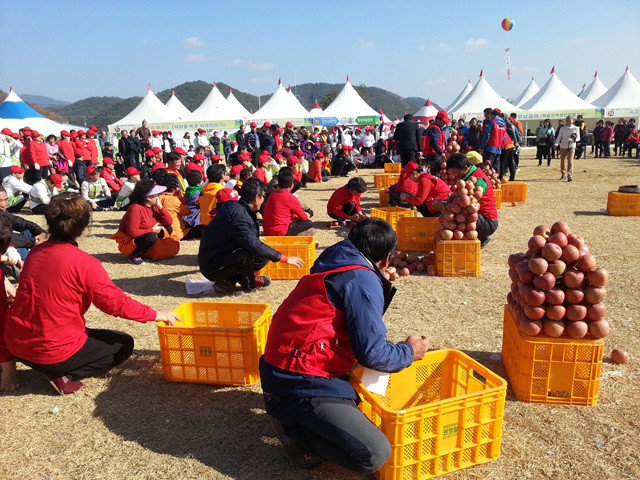 지난해 축제 장면.(사진제공=청송군)