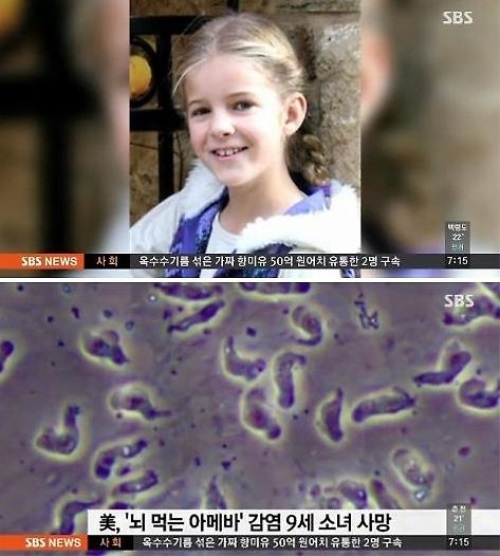 사진: SBS 뉴스캡처