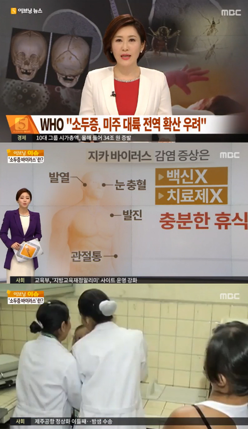 사진 : MBC 뉴스 / 지카 바이러스