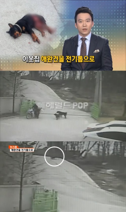 사진:MBN 방송캡쳐