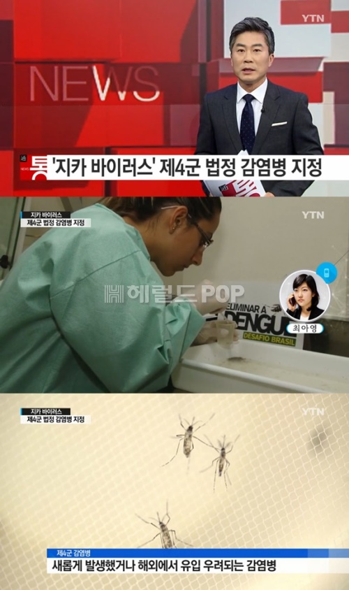 사진:YTN 방송캡쳐