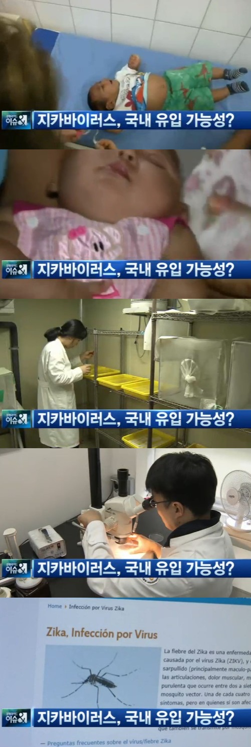 sbs cnbc