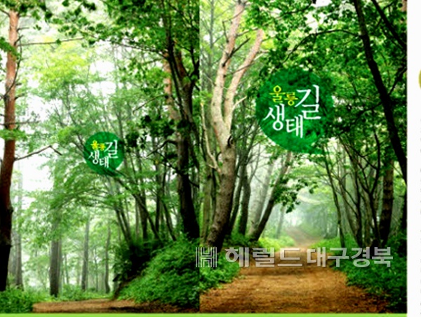 천혜의 자연 경관을 자랑하는 울릉군이 생태길 안내 책자를 제작했다.(사진제공=울릉군)