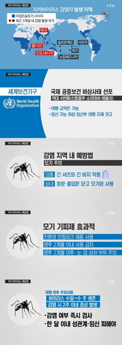 YTN 뉴스