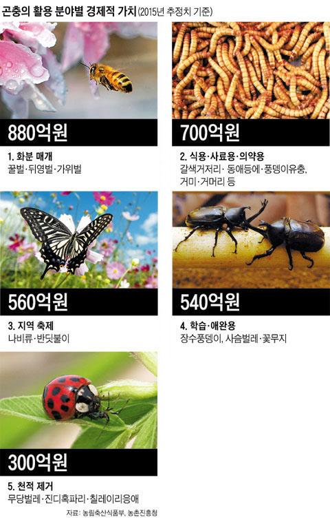 [곤충산업 시장 급성장. 사진제공=농림축산식품부, 농촌진흥청]
