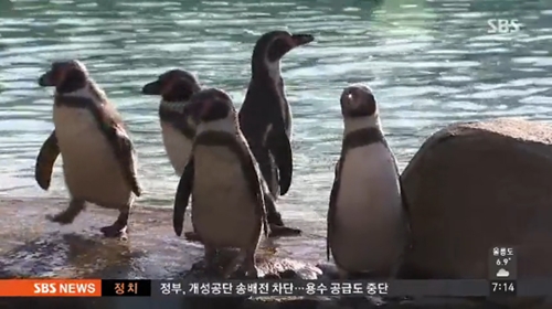 사진 : SBS
