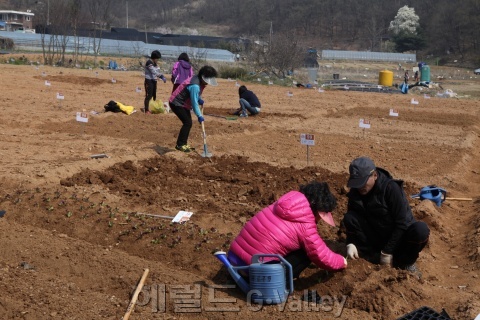 ▲주말농장 자료사진 [사진제공=구로구]