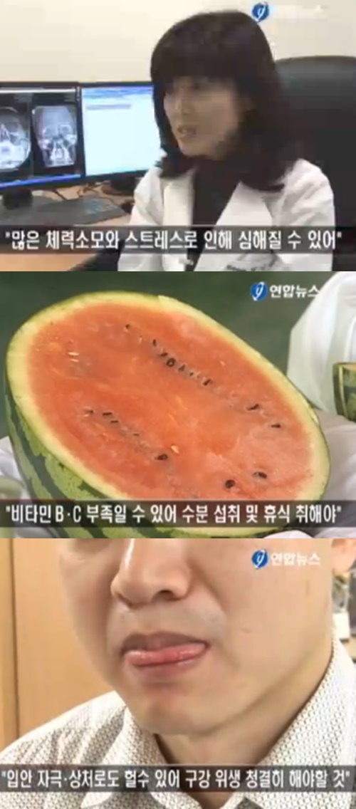 사진 : 연합뉴스