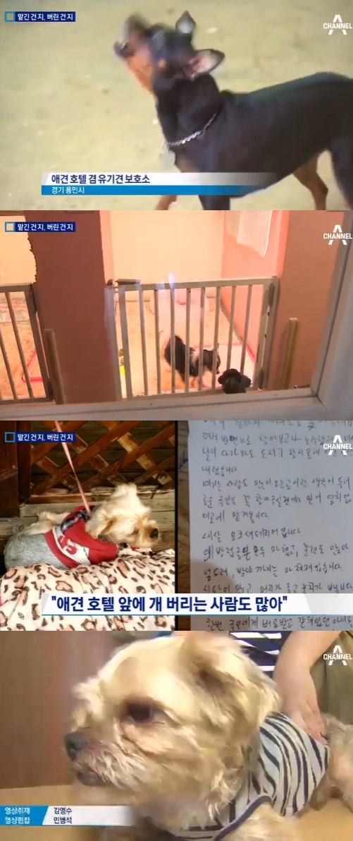 채널A
