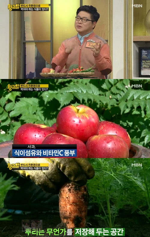 사진:고구마