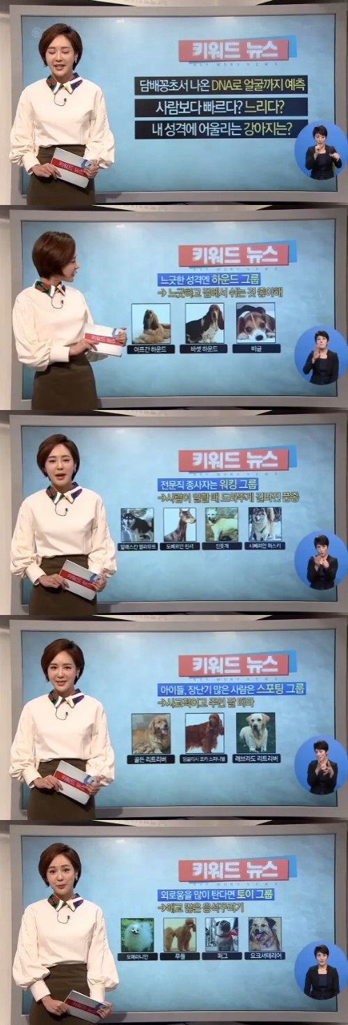 채널A뉴스
