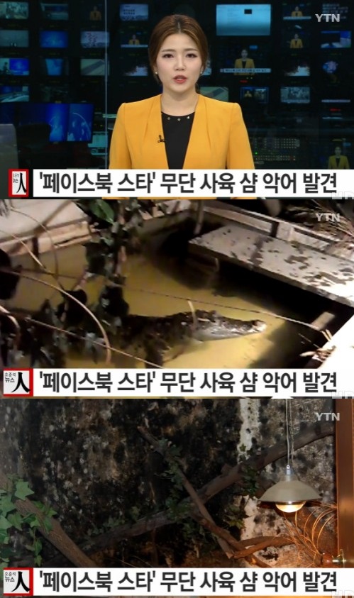 YTN 뉴스 캡쳐
