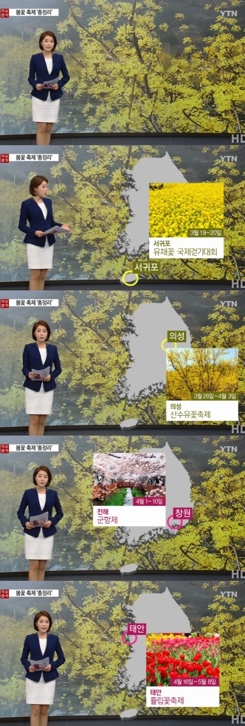ytn 뉴스