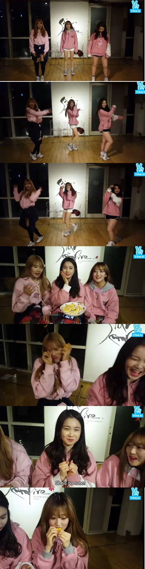 사진 : V앱