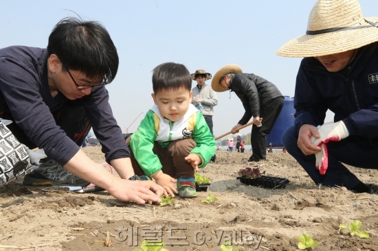 ▲주말농장 개장 현장 [사진제공=금천구]