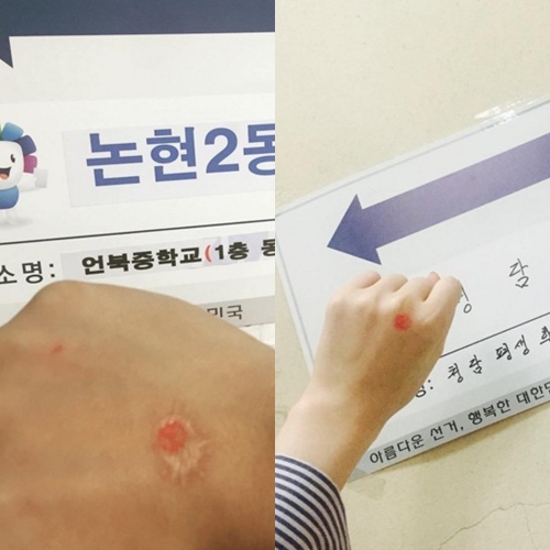 사진=최자, 설리 인스타그램