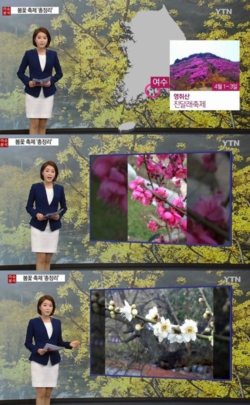 사진 : YTN