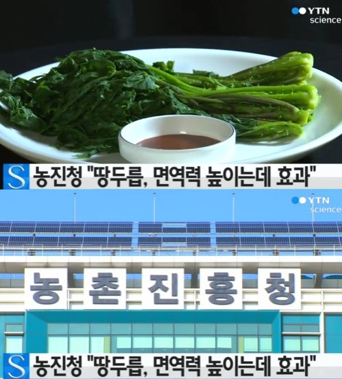 ytn 뉴스