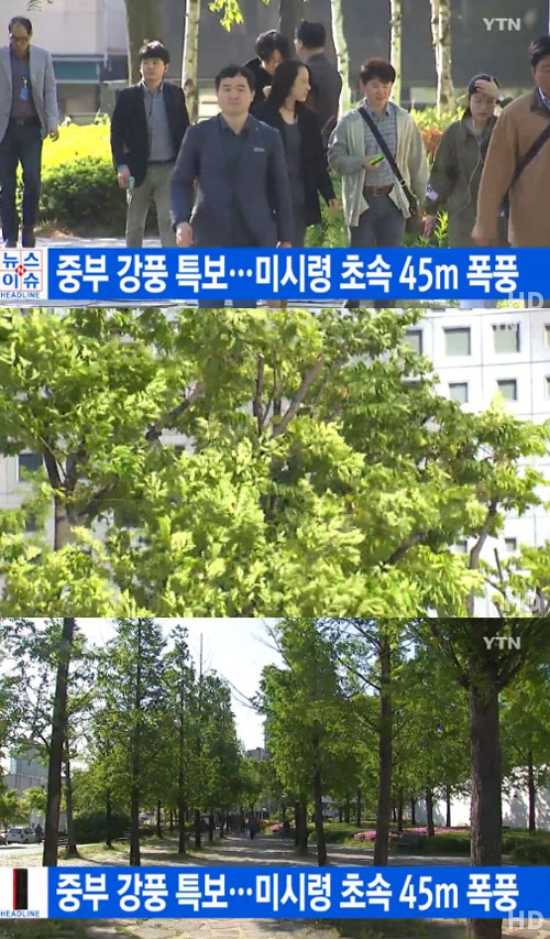 사진 : YTN 뉴스